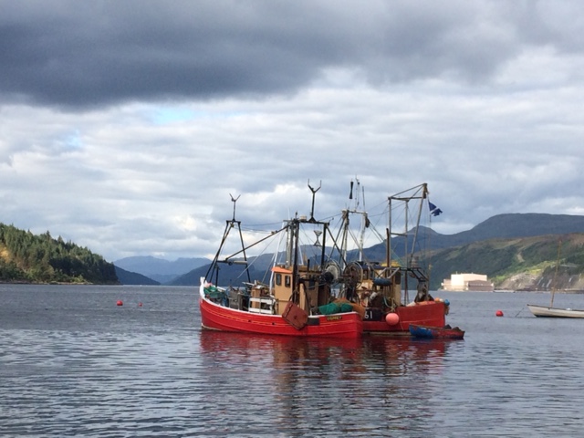Achnaha | Dunoon