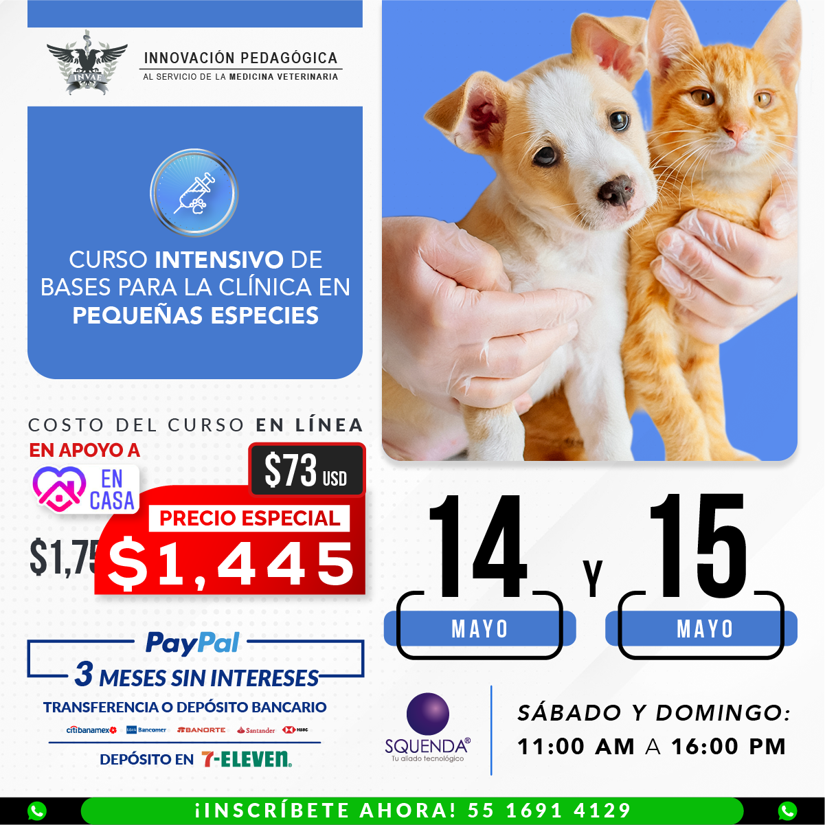INVAE - 🐱🐶PRECIO ESPECIAL $1445🐶🐱 Obtén las bases para... | Facebook
