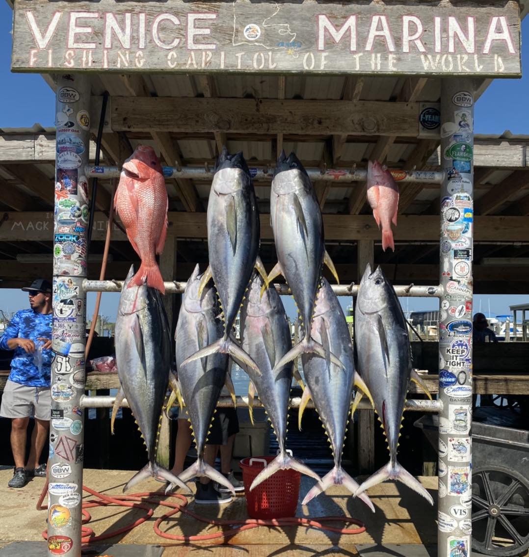 VooDoo Fishing Charters Deep Sea Tuna Fishing & Lodging In Venice La - Home