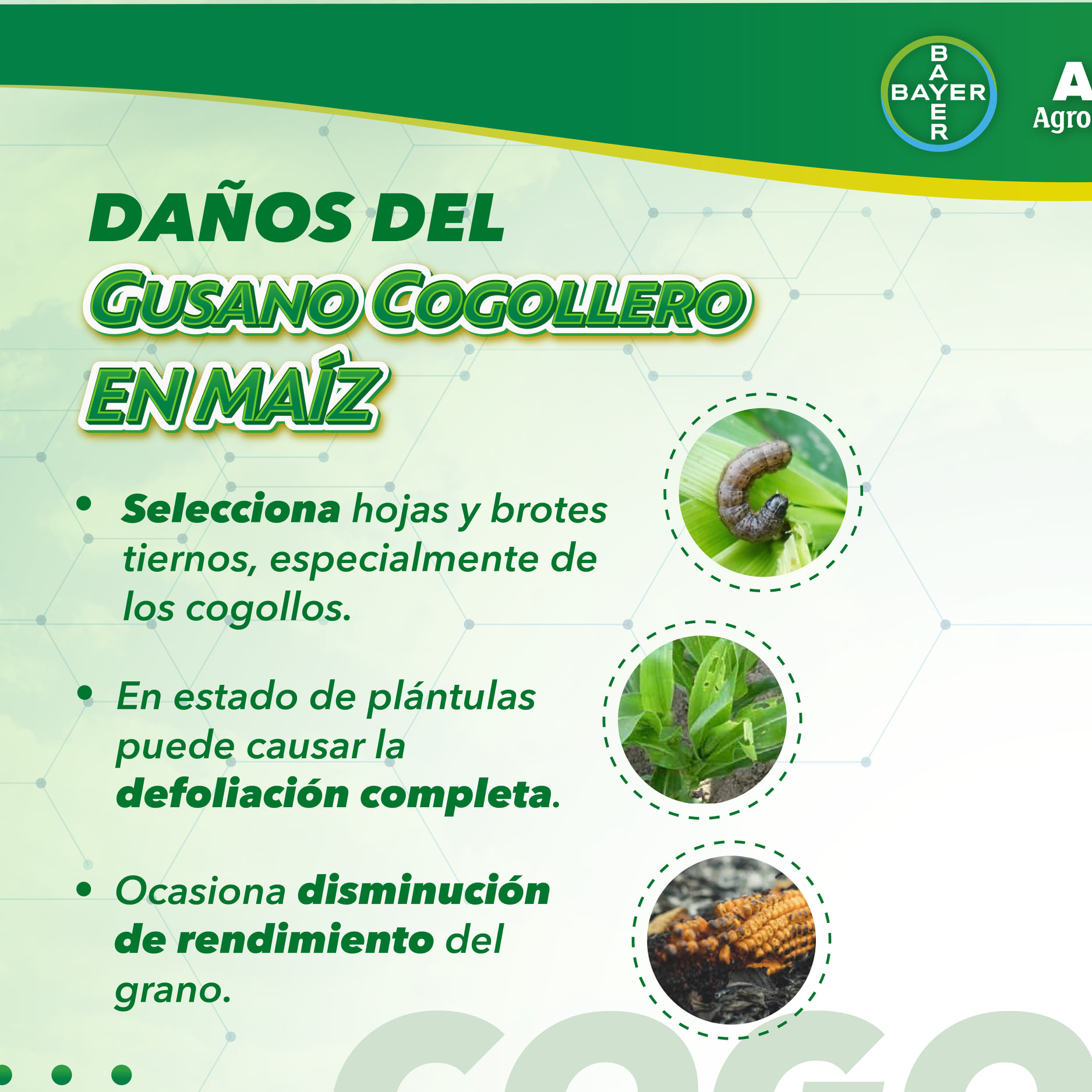 ¡El trío perfecto para acabar con los... - ALC Agrologistics