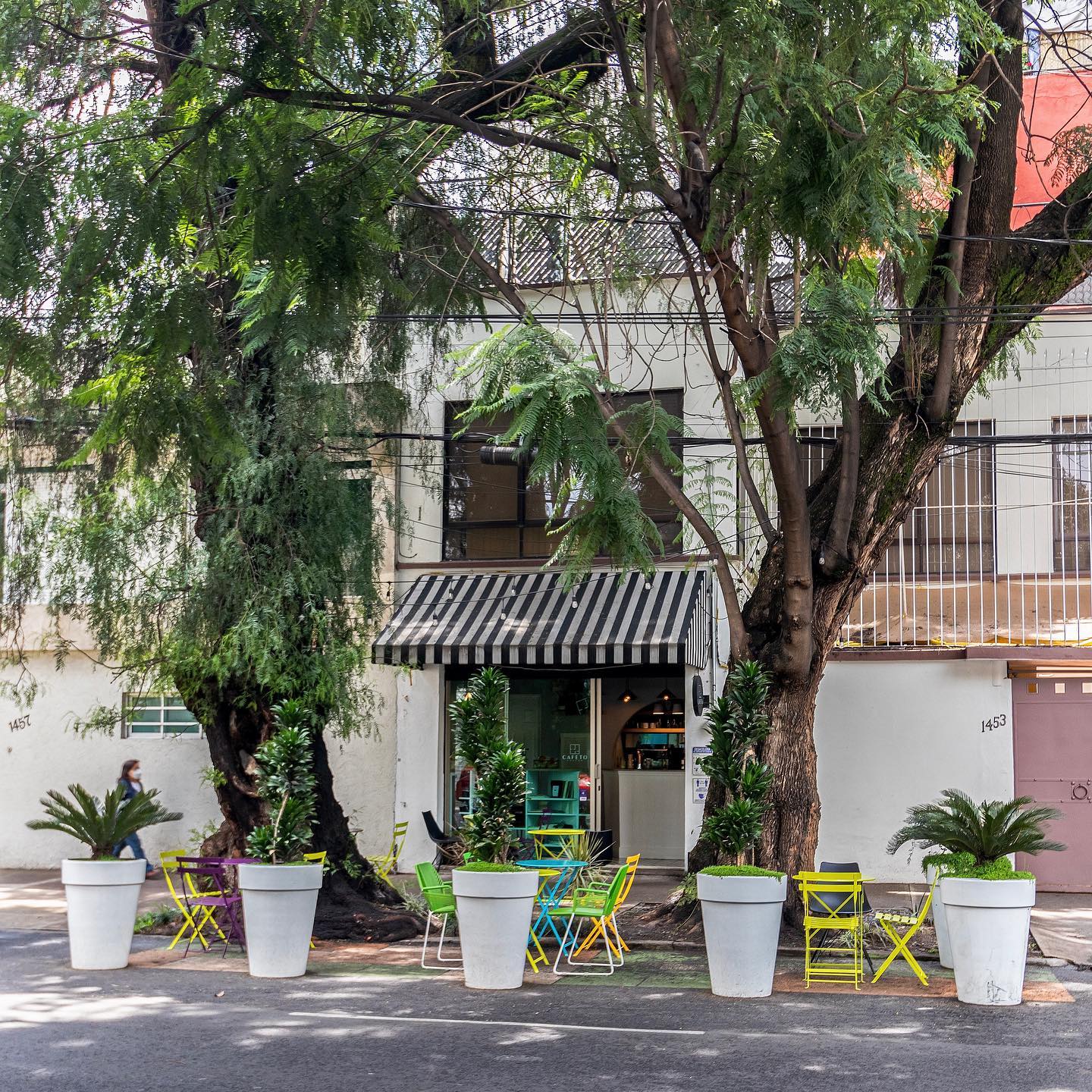Cafeto Taller | Mexico City