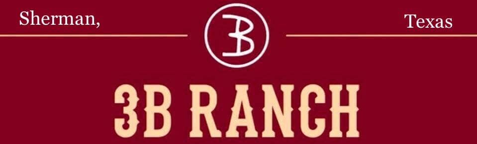 3B Ranch Texas