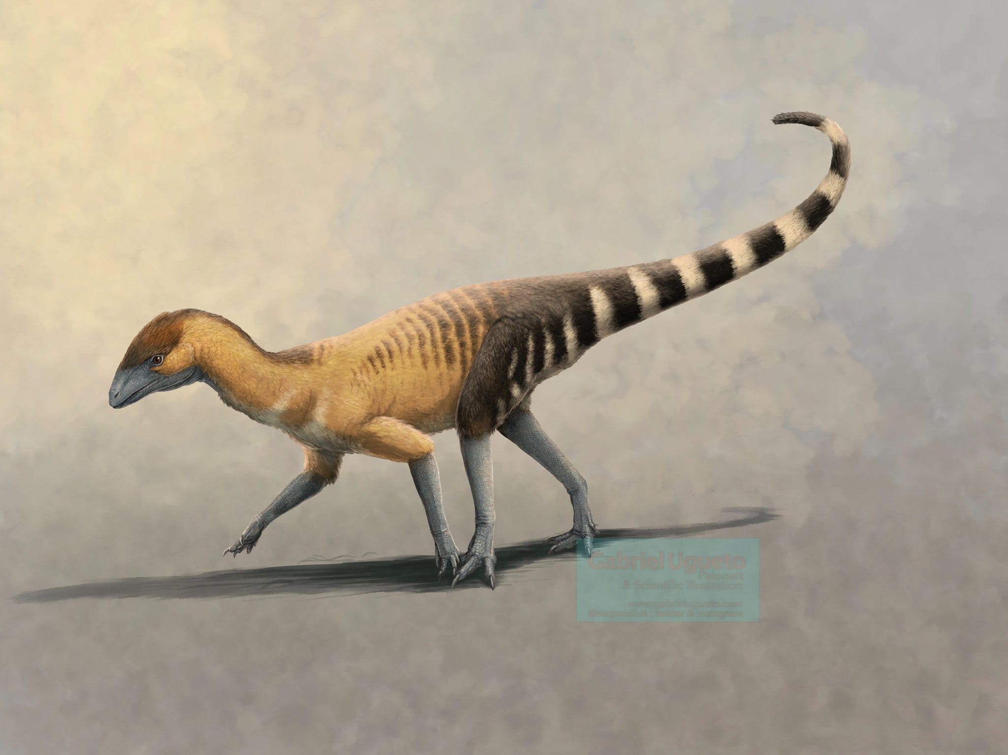 WORLD OF PREHISTORIC CREATURES | Silesaurus, a genus of silesaurid ...