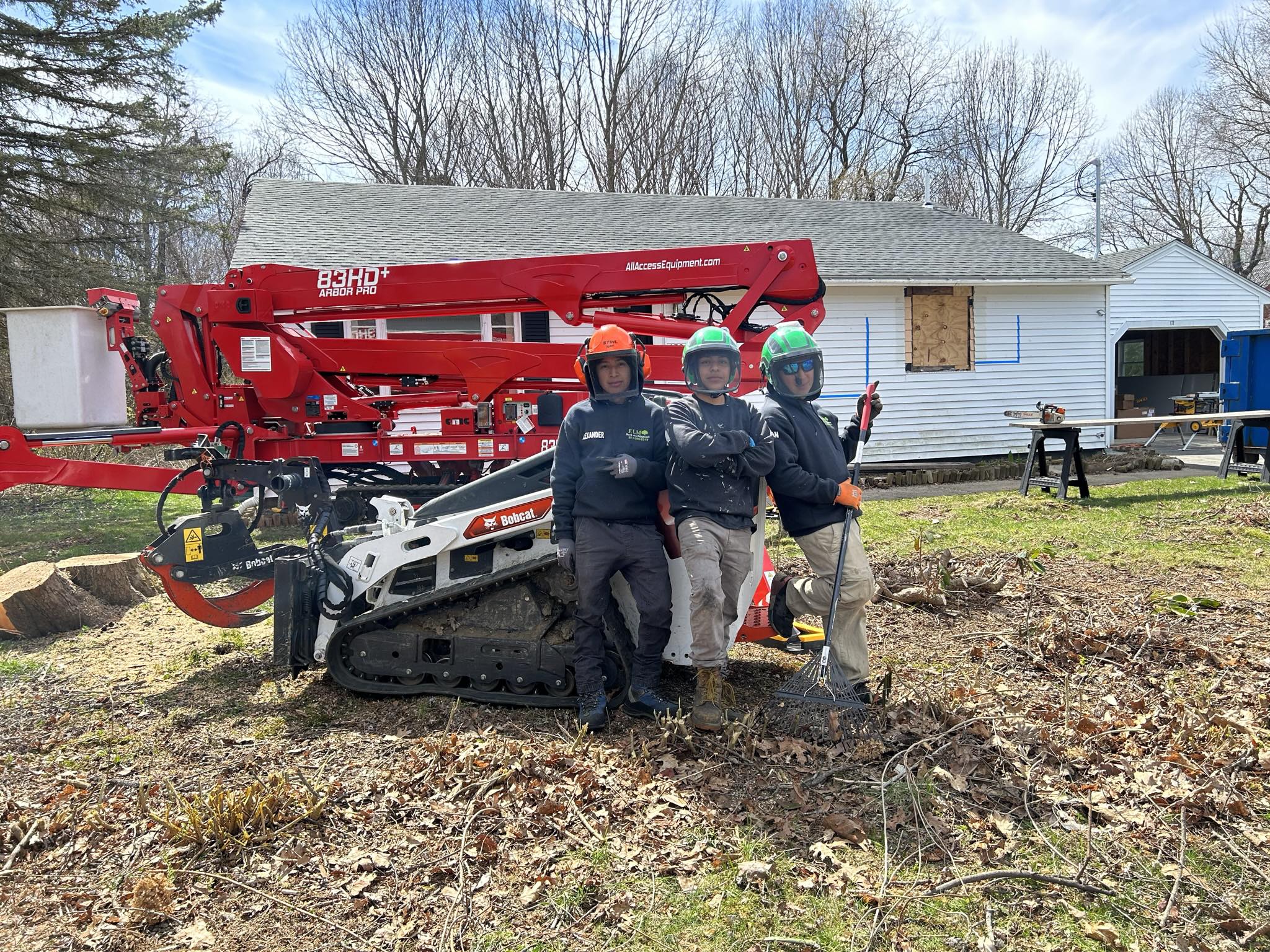 Elm Tree services and landscaping | Newburyport MA