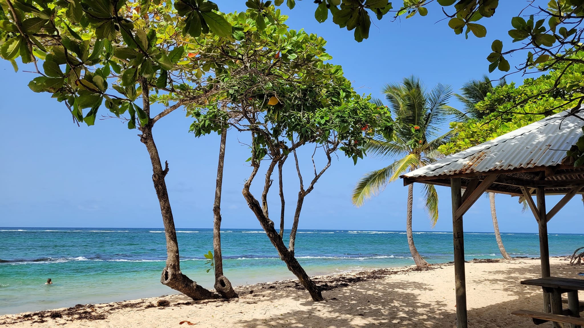 La sublime plage de l'Autre bord - Le... - Studio Cajou Anse des ...