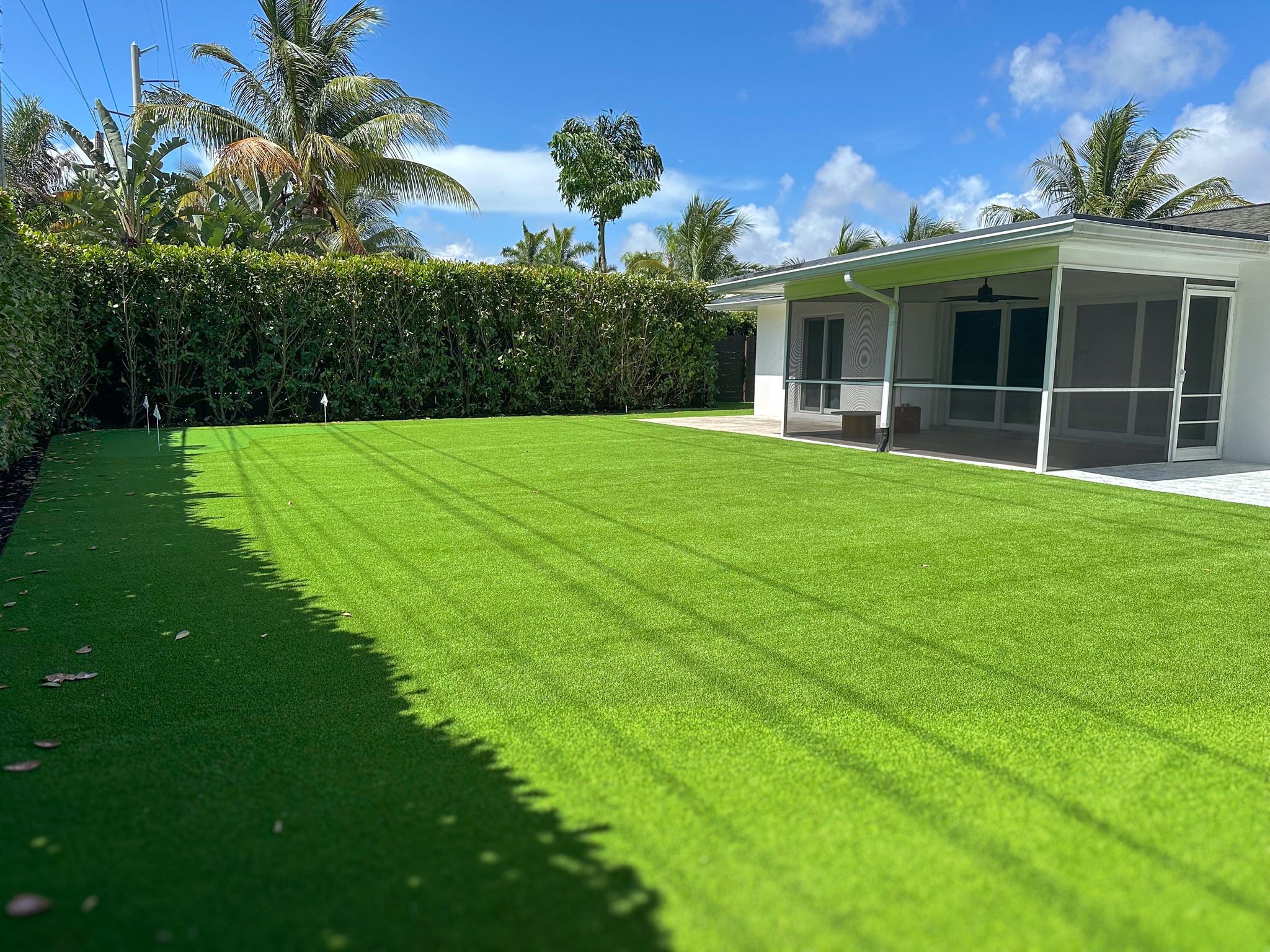 TurfDoctor - 🌿 Transform Your Turf with TurfDoctor! 🌟 Say... | Facebook