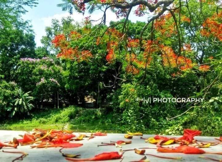 Govt. S. K. College, Ramdia