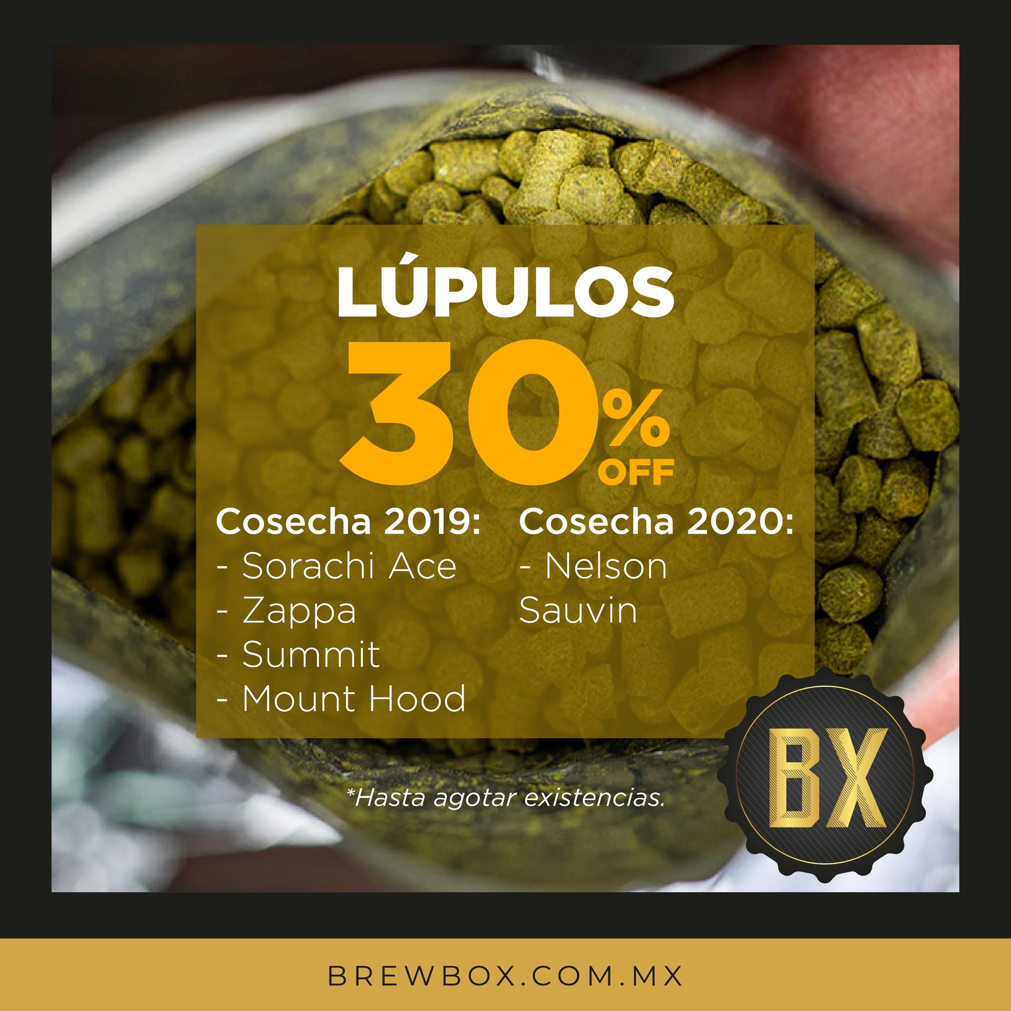 BREWBOX | Santa Catarina