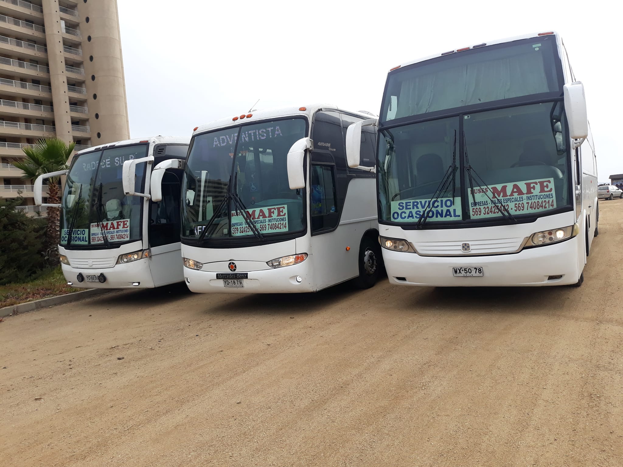 Buses MaFe Chile