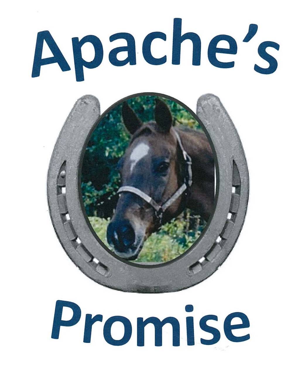 👣 Follow us for updates on our... - Apache's Promise Inc.