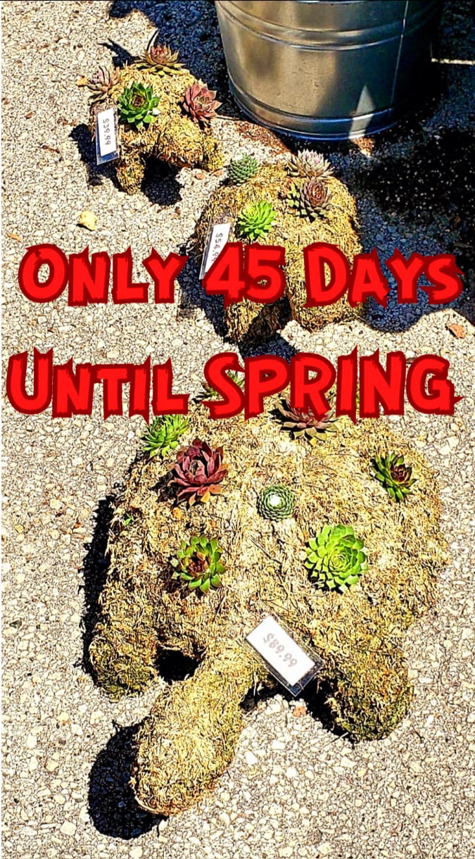 Spring count down, 8 weeks until spring! | Facebook