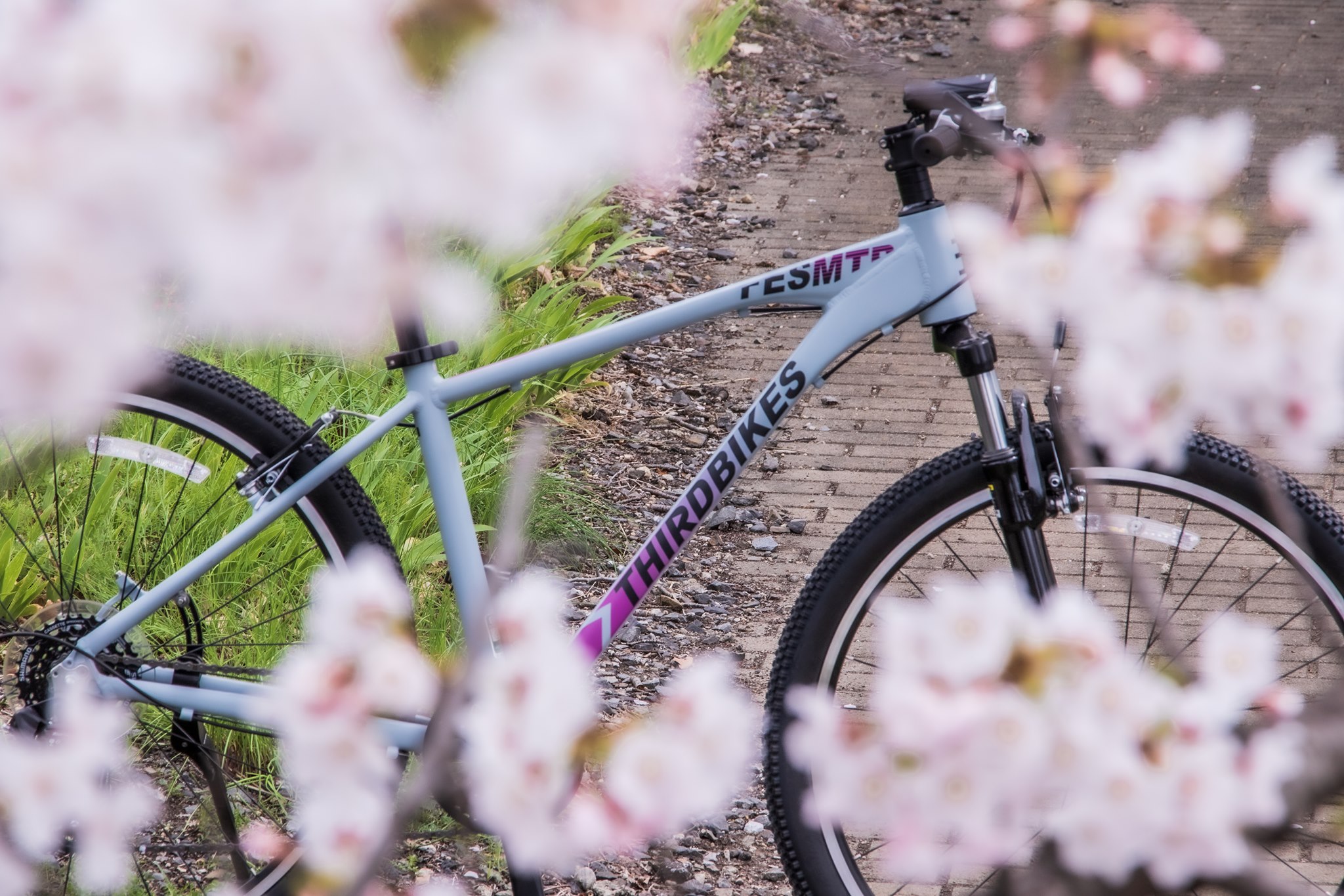 THIRDBIKES - #thirdbikes #サードバイクス #fesmtb #フェスエムティー 