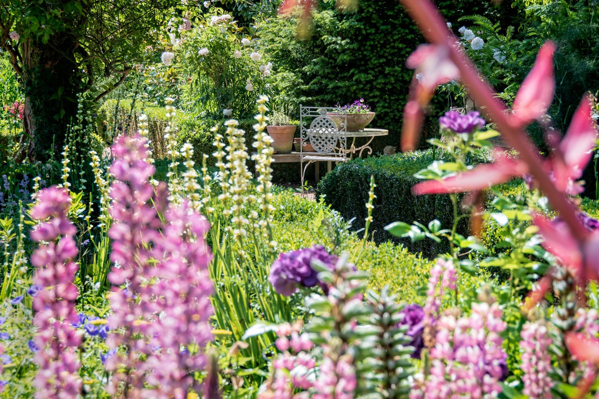Chris Deakin Garden Design | Norwich