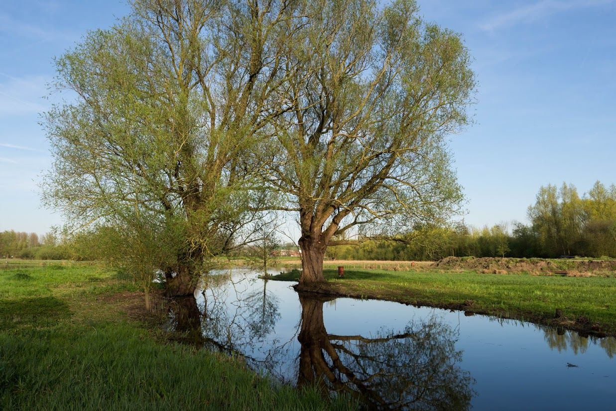 Westhoek - De Grote Goesting - In de Zwaan (Heuvelland/Westouter) Pal ...