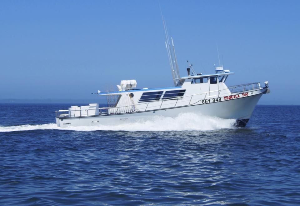 Ms. magoo sportfishing, llc... - Ms. magoo sportfishing, llc