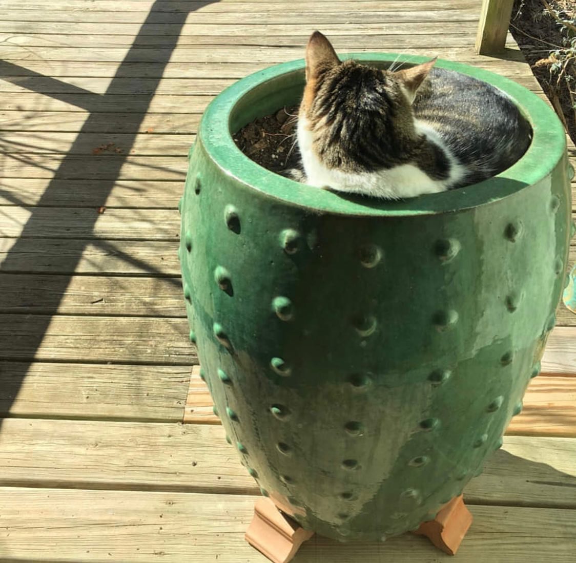 City Clay - We are excited to announce that our Spring...