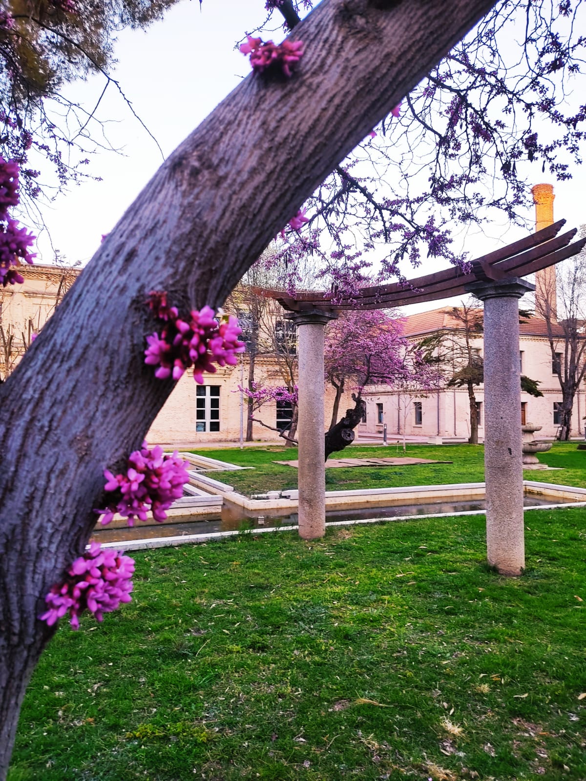 Facultad de Ciencias Ambientales y Bioquímica de Toledo | Toledo