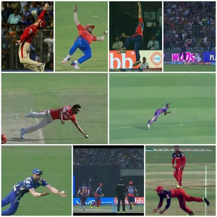 Cricket Videos