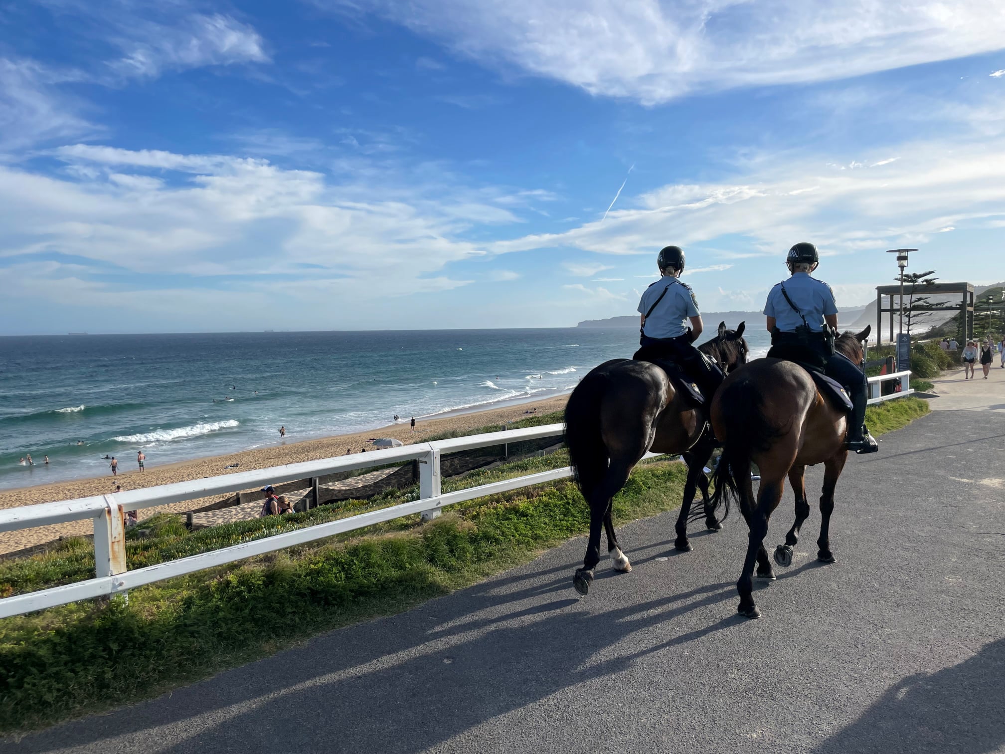 Mounted Unit - NSW Police Force - Home | Facebook
