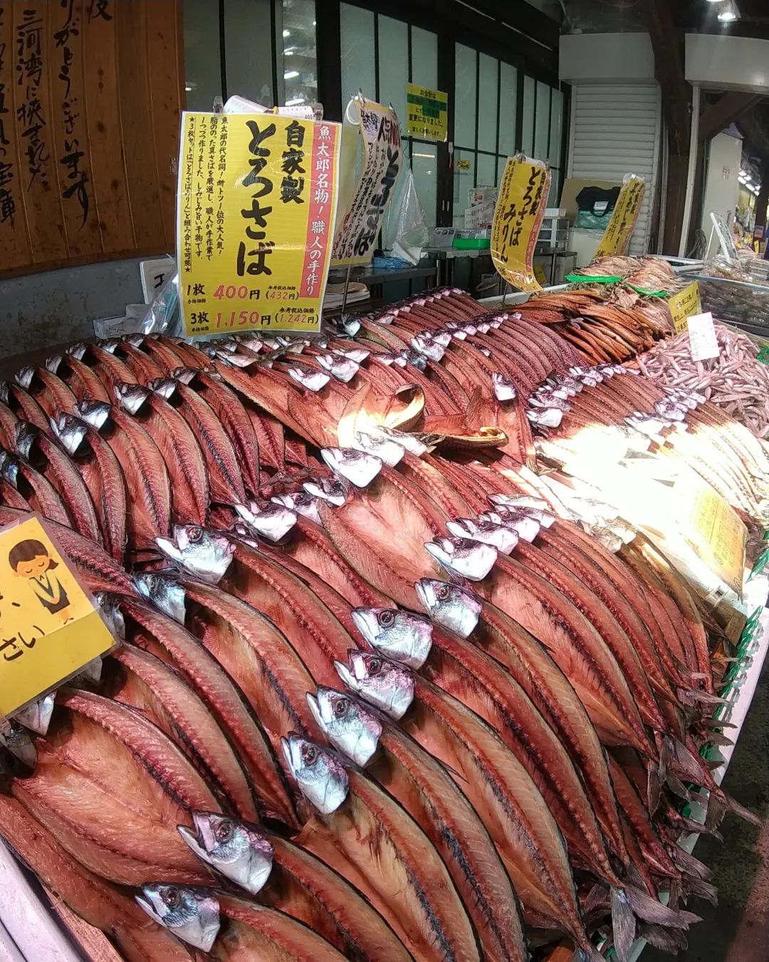 活動歴および当時の関連ビジュアル記録