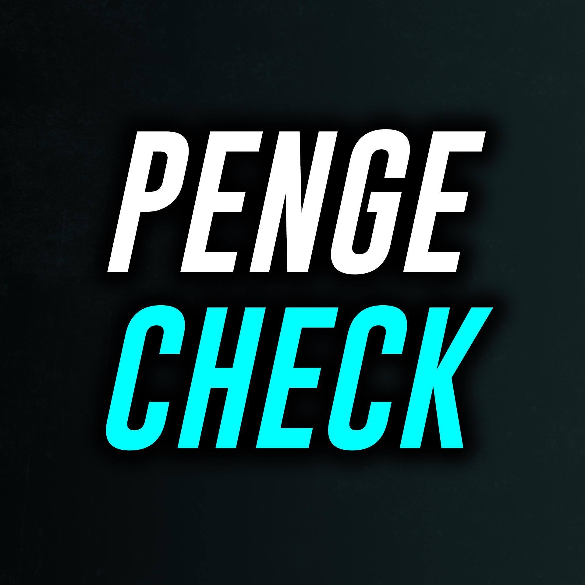 PENGE CHECK - Vejen til Økonomisk frihed For Alle