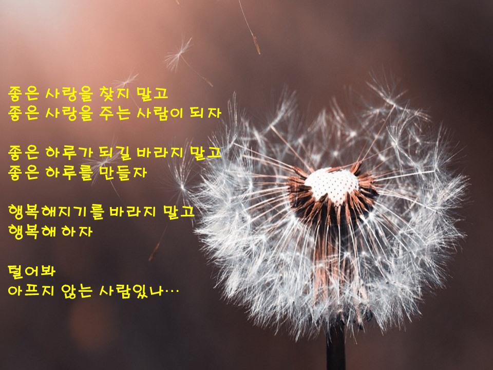 공감이슈 - 상상력은 창조의 시발점이다. 당신은 원하는 것을 상상하고 상상하는 것을 행동에 옮길 것이며, 종국에는 행동에 옮길 ...