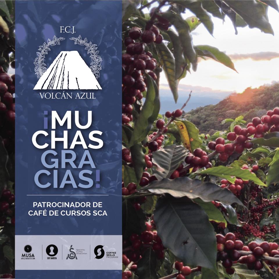 Musa Lab - ¡Ya iniciamos con las certificaciones SCA de... | Facebook