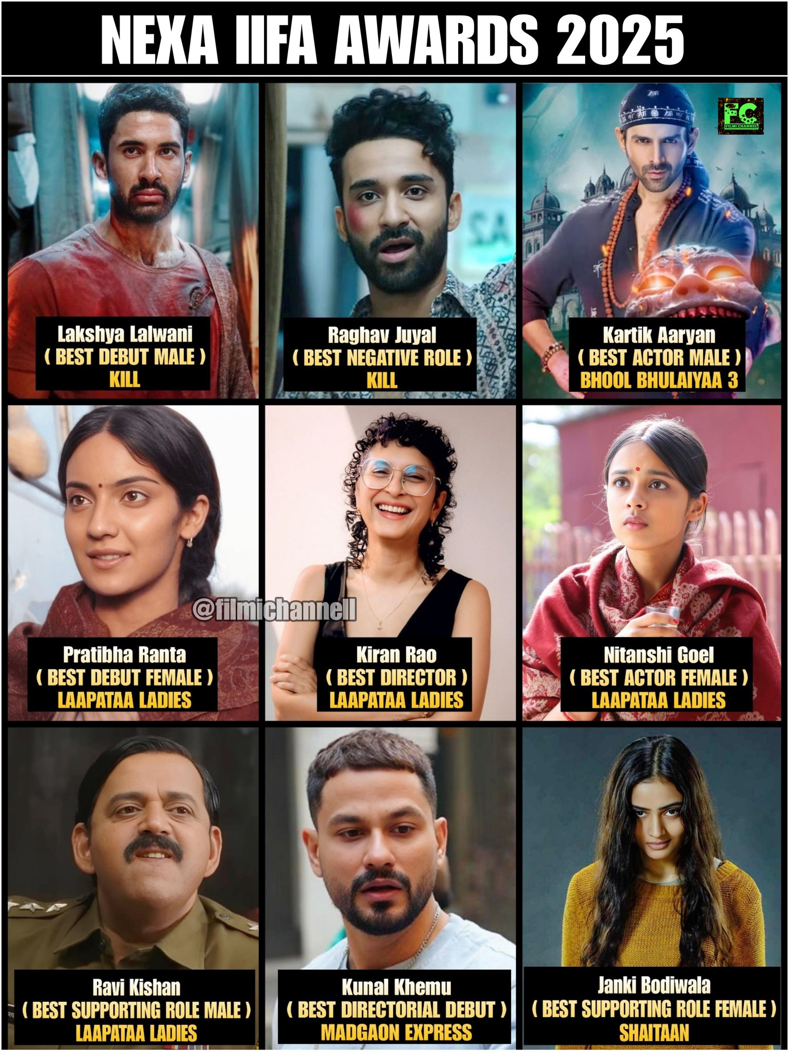 Filmi - NEXA IIFA Awards 2025: Winners List 1. *Best Debut (Male ...