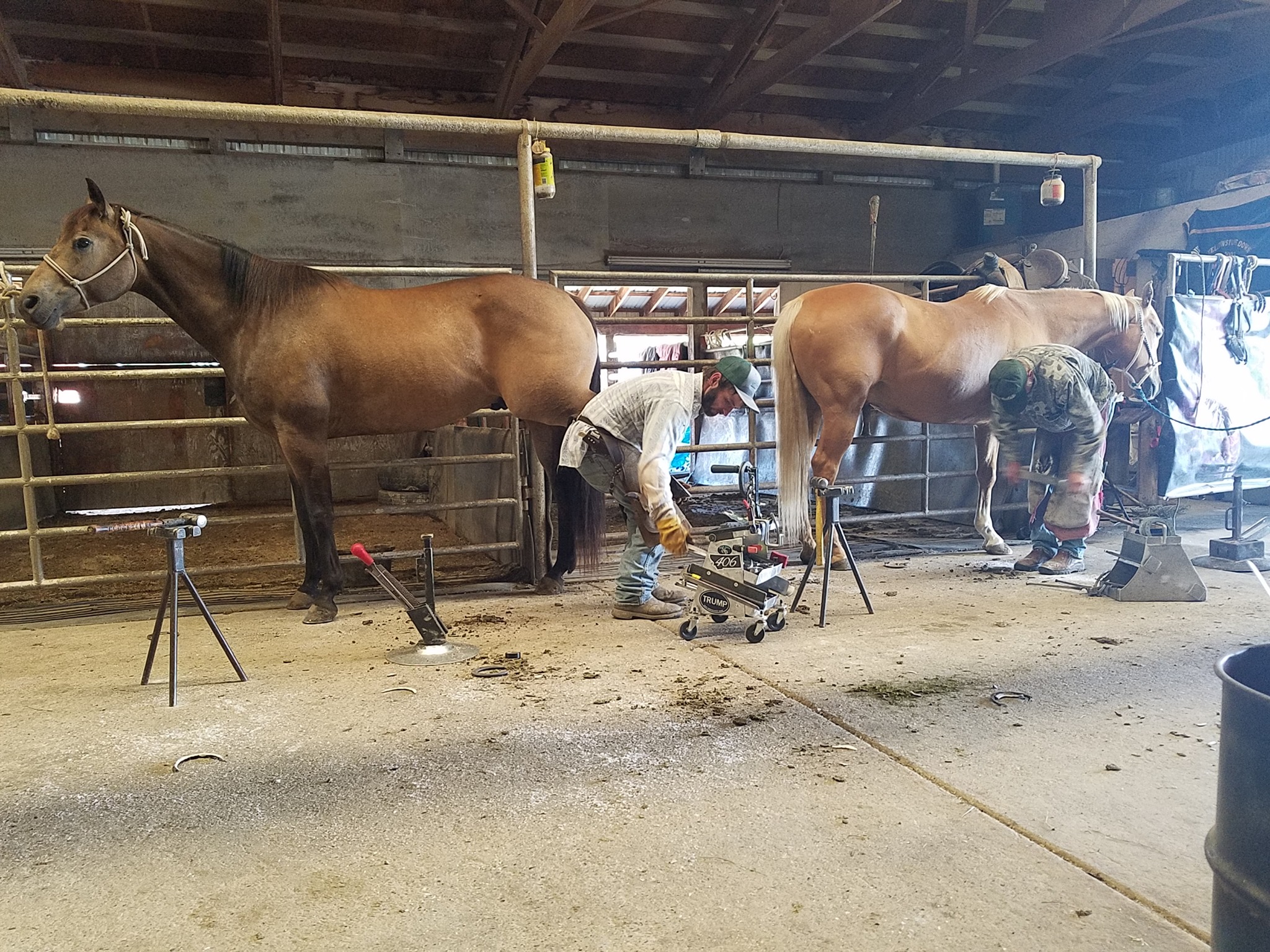Equine Motel - Box T Ranch | Billings MT