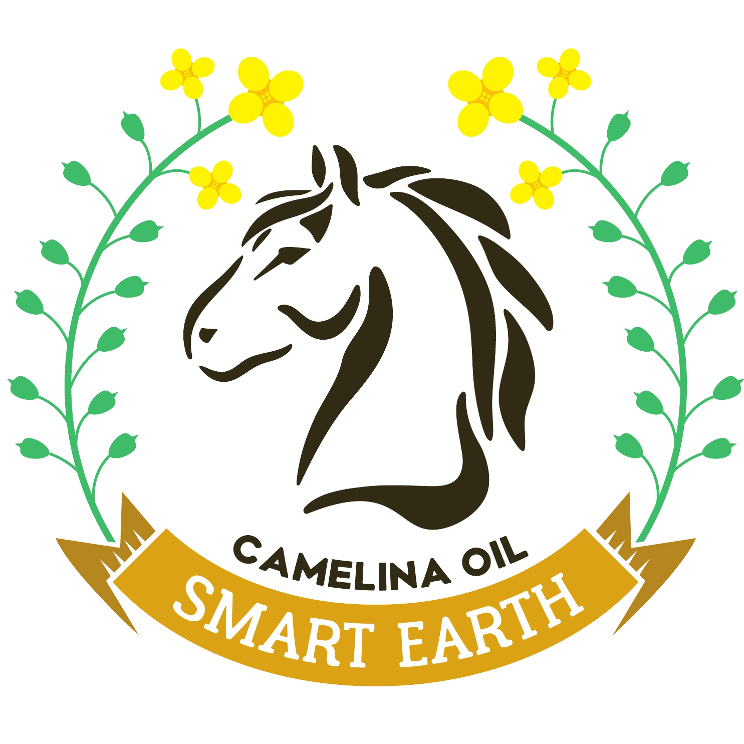Our Smart Earth Camelina Oil has become a go-to favourite among horse ...