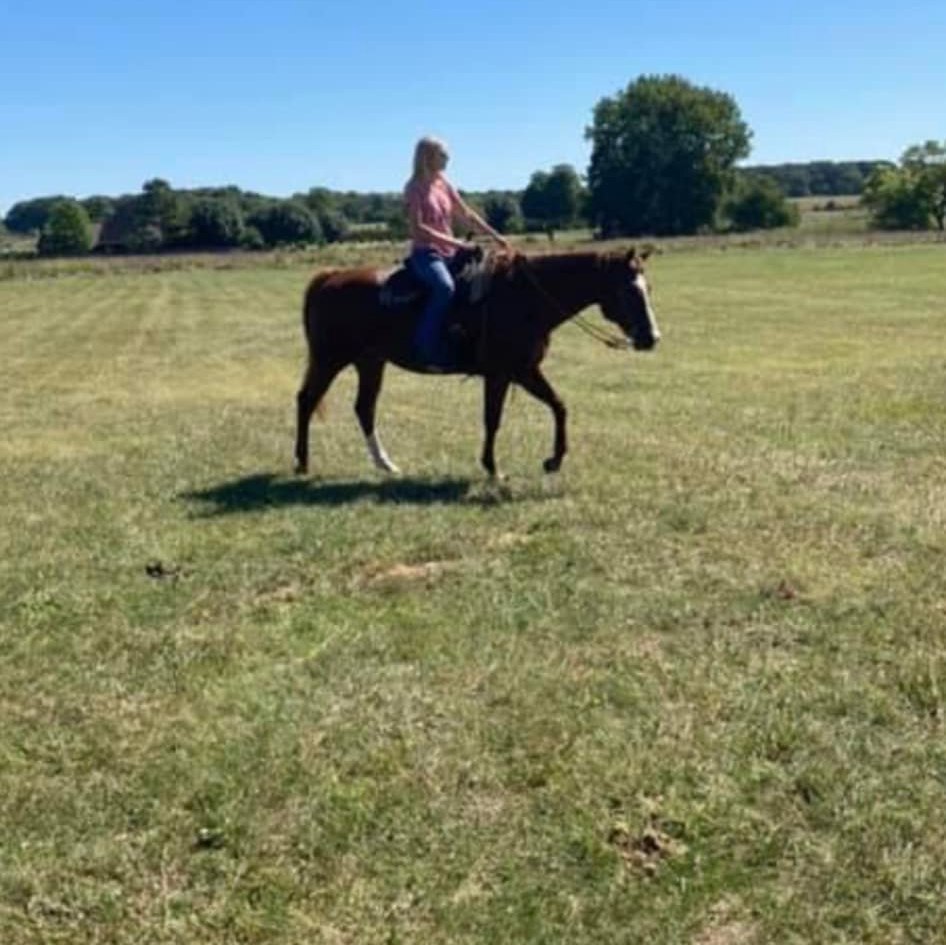 Stables at The Ridge | Pea Ridge AR