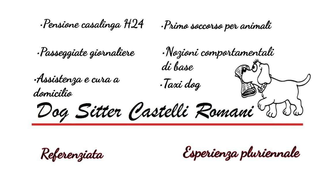 Wash - Amami sempre non lasciarmi mai .....anche se il tuo cucciolo ...