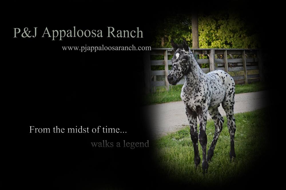 Roseland Ranch - Roseland Ranch added a new photo.