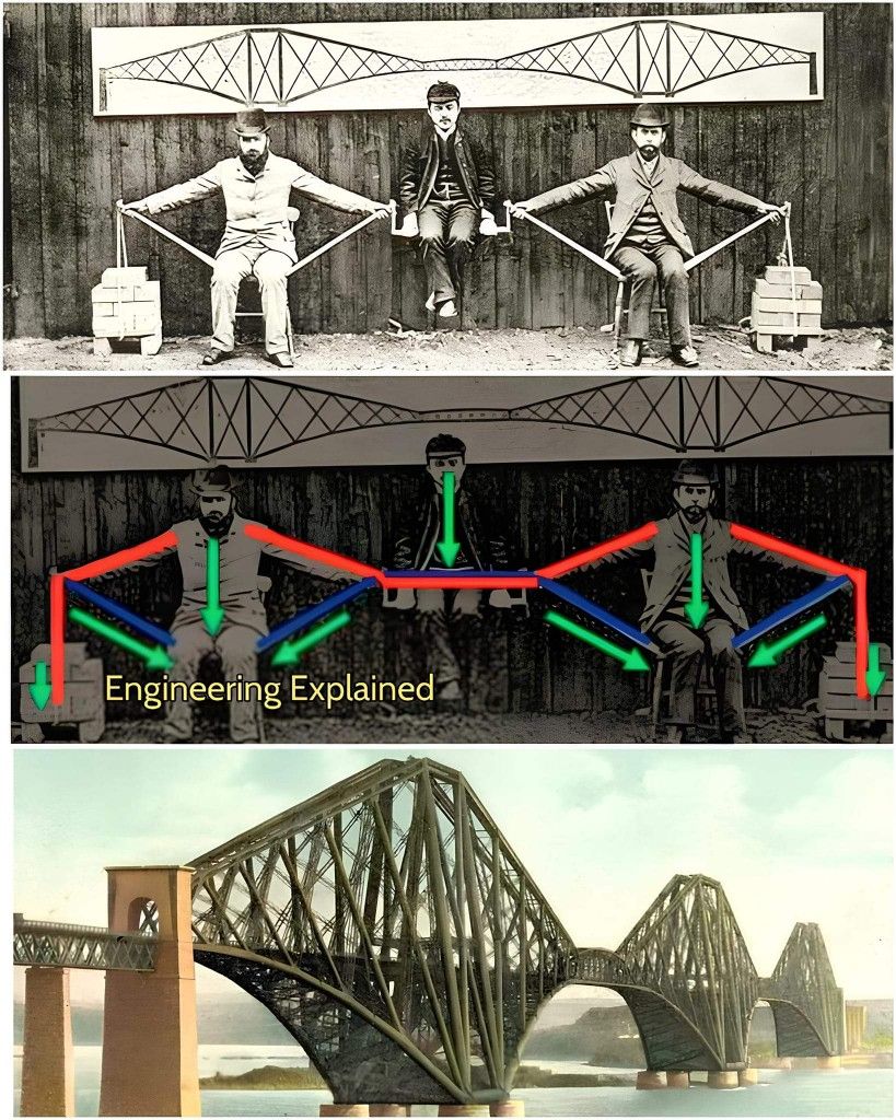 Firth of Forth Bridge's cantilever design demonstration