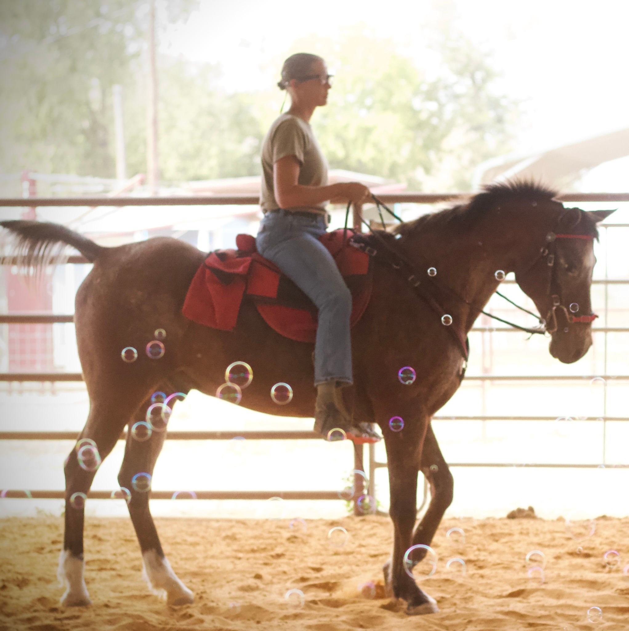My horse seems slightly off: immediate investigation. Someone asks how ...