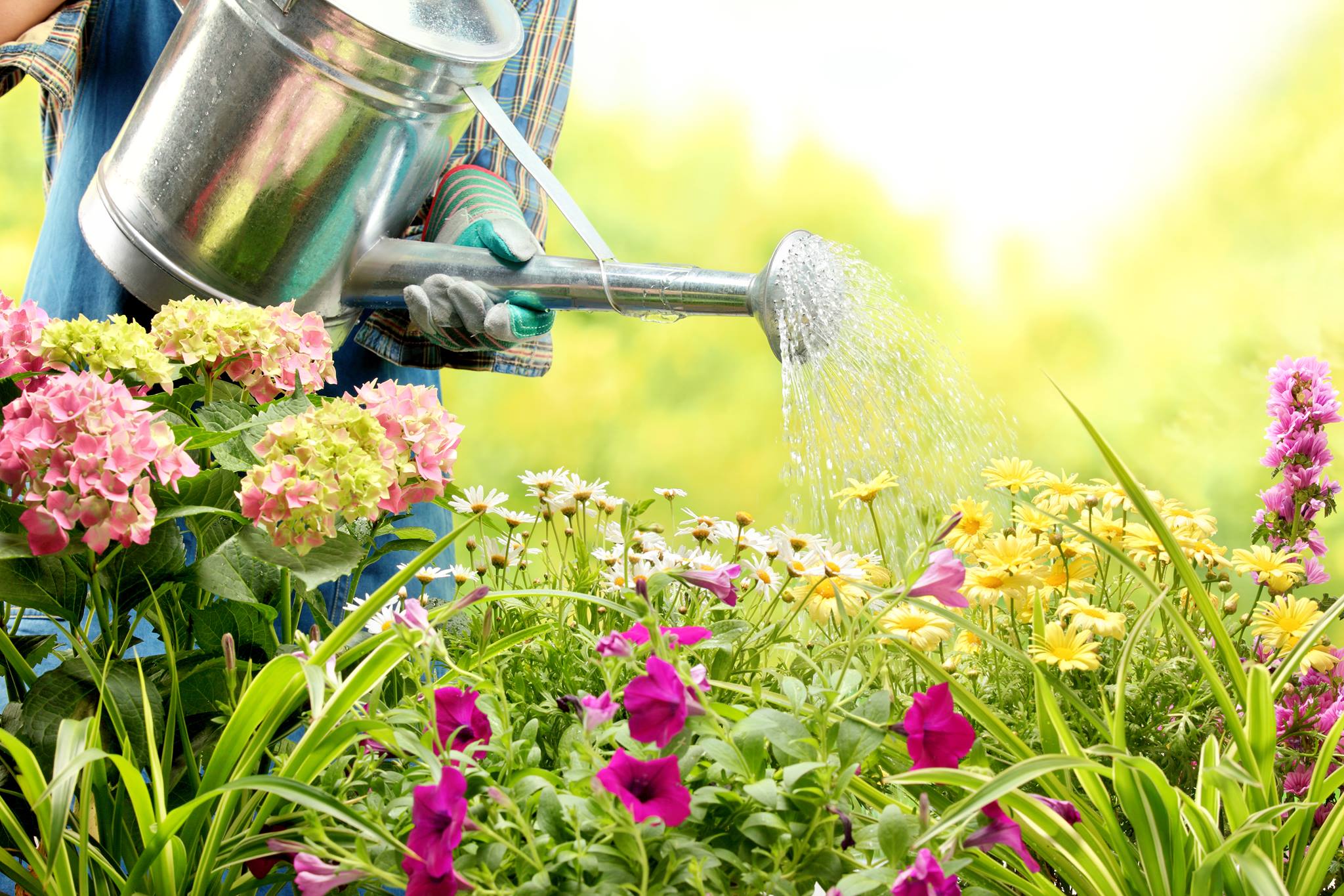 Gardeners Unite