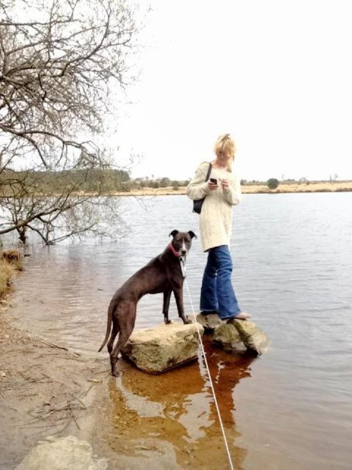 Dogs of Neath SA10/SA11 | Facebook