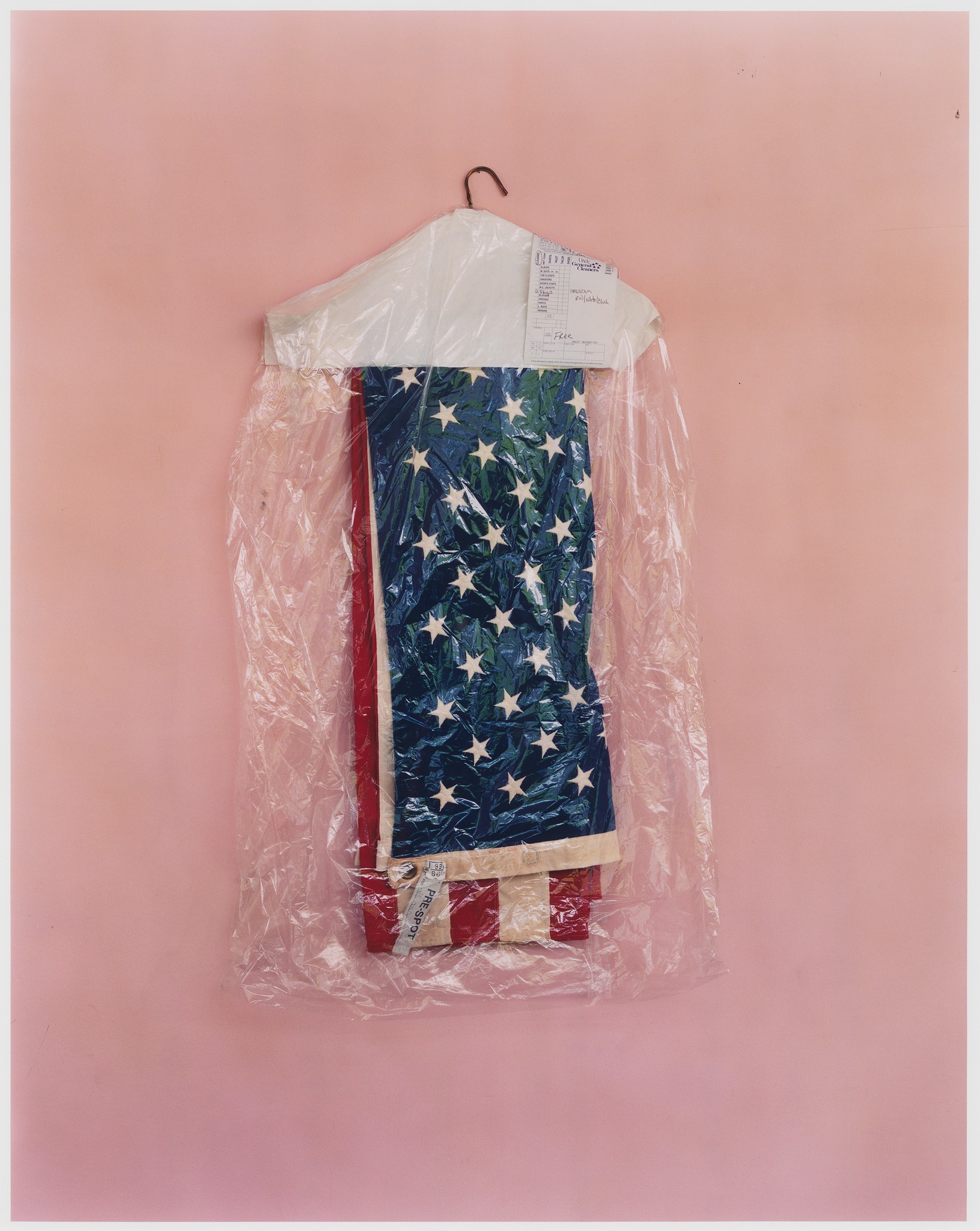 Whitney - On 4th of July today, we're highlighting Mitch Epstein's Flag ...