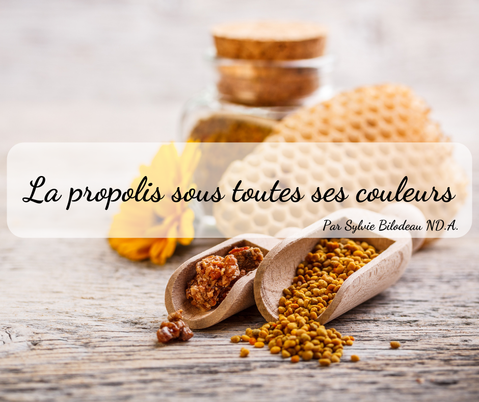 Coop Alentour - Saviez-vous qu’il existe différentes...