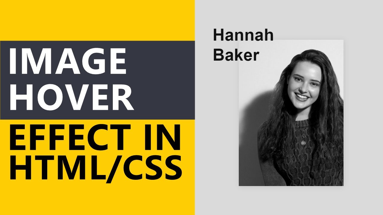 The Webster - CSS Image Hover Effect Source Code:... | Facebook
