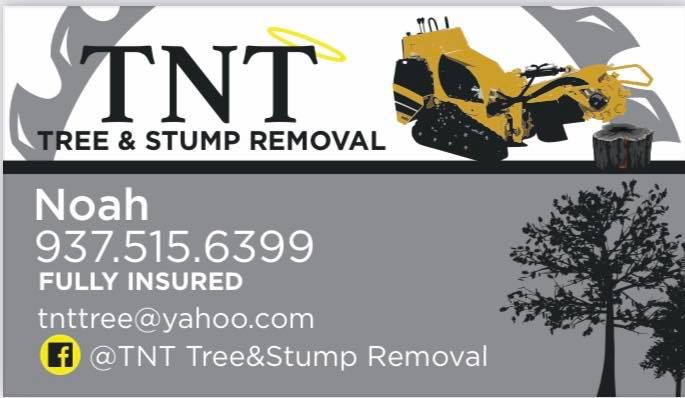 TNT Tree&Stump removal