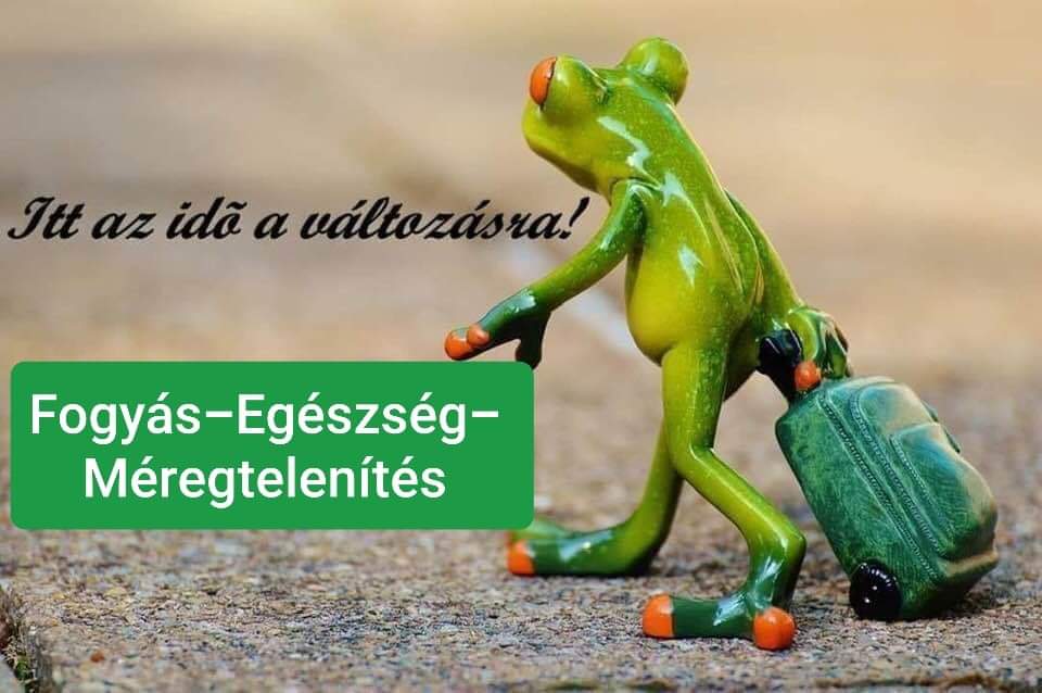 Fogyás és egészség... - Fogyás és egészség az egész családnak