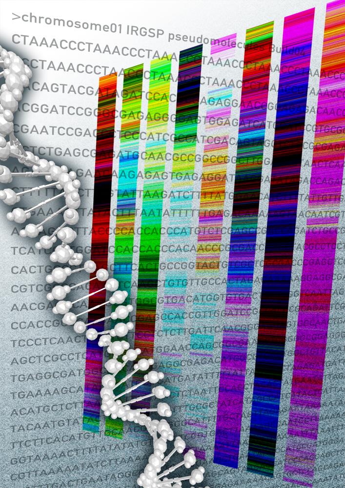 小分子・大分子・低分子・高分子の見分け方がわかりませ _ 高分子の構造と種類 – GDASMT
