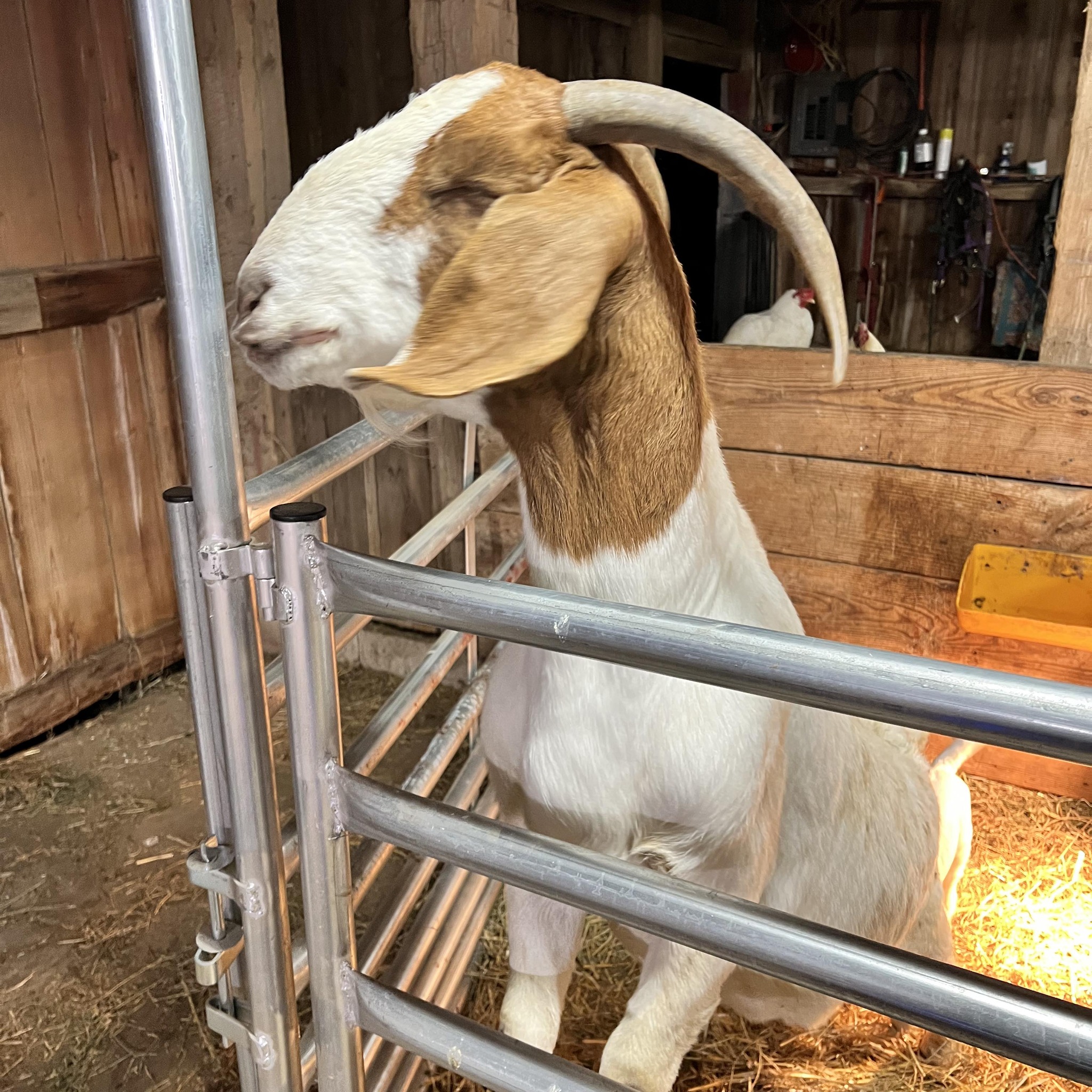 Carpenter Ranches, LLC | Facebook