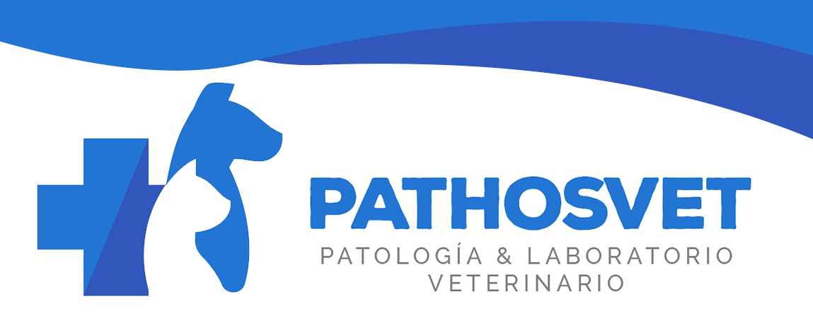 PathosVet - Patología & Laboratorio Veterinario | San Felipe