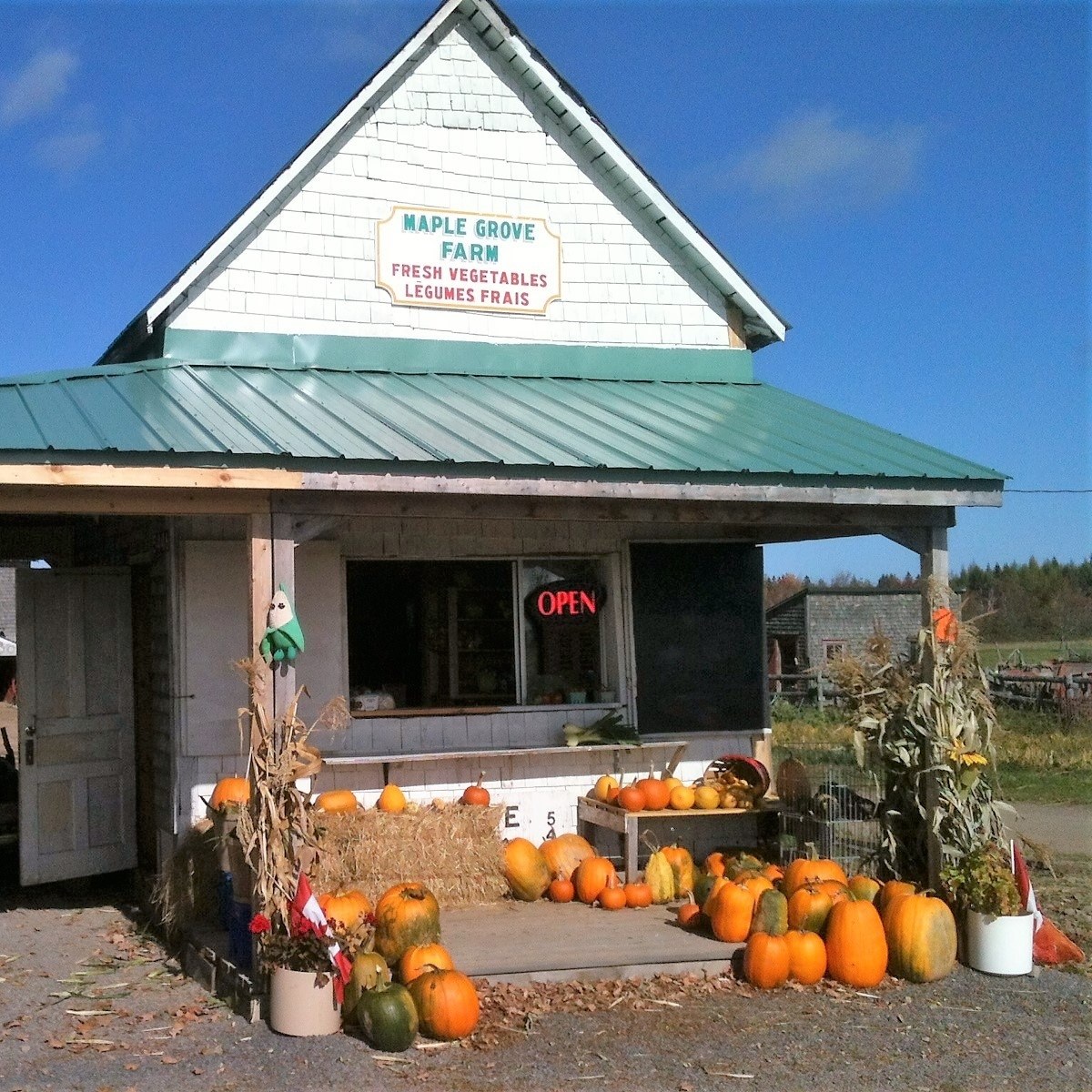 Maple Grove Farm added a new photo. - Maple Grove Farm