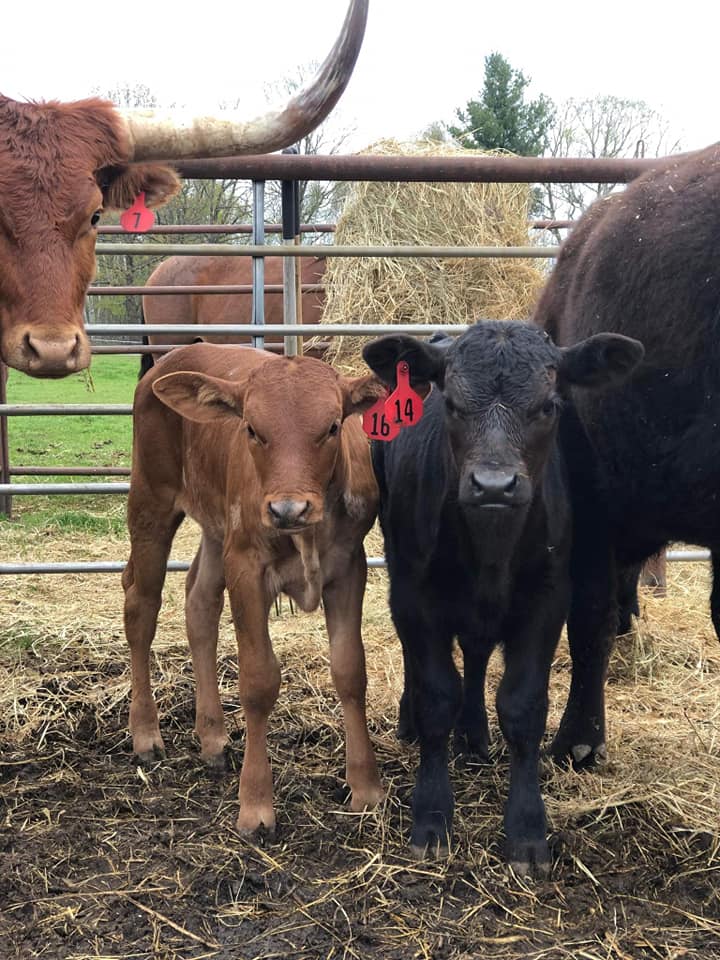 Triple R Ranch