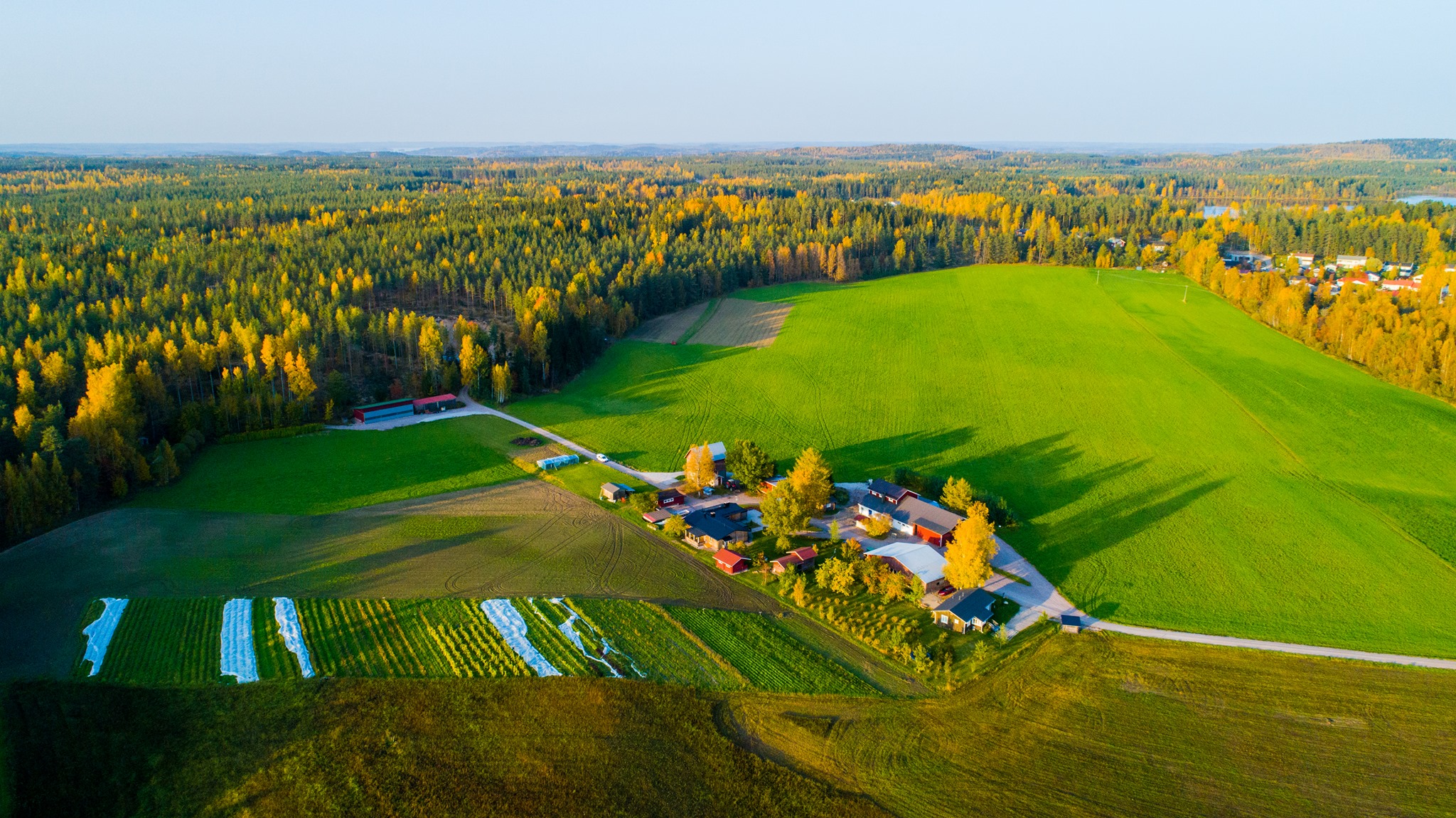 lounais-suomen-lounais-suomen-puutarhayhdistys