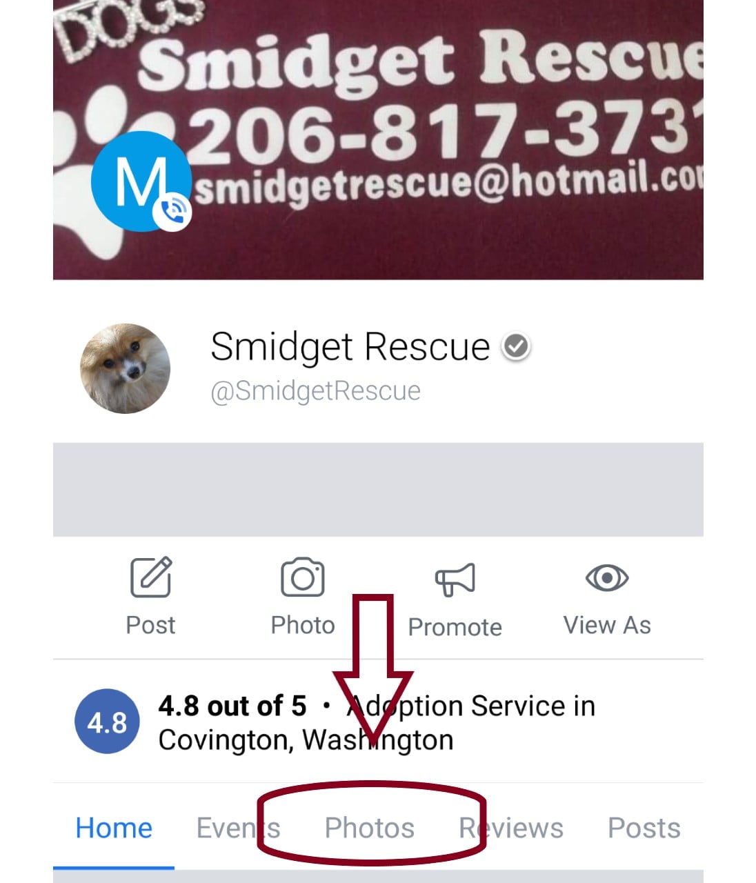 Smidget Rescue | Covington WA