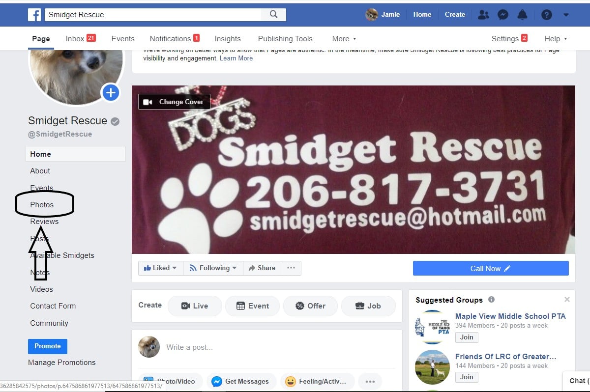 Smidget Rescue | Covington WA